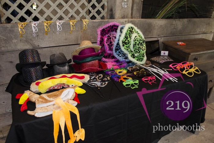 LaPorte Blueberry Dunes Farm Photobooth Props